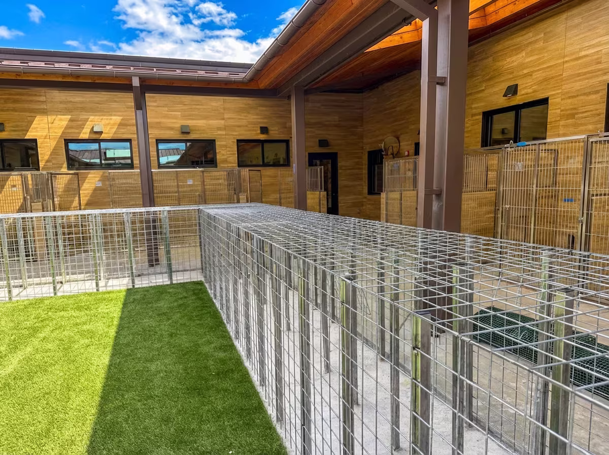 Privacy hedge installation along dog kennels