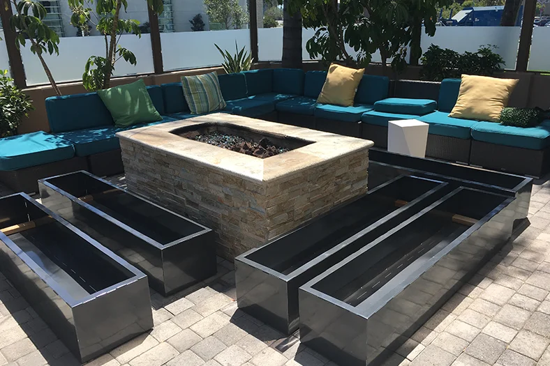 Hedges positioned on patio