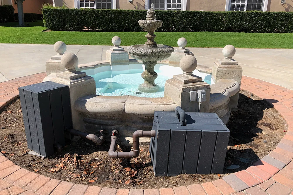 Before: struggling live boxwood hedge