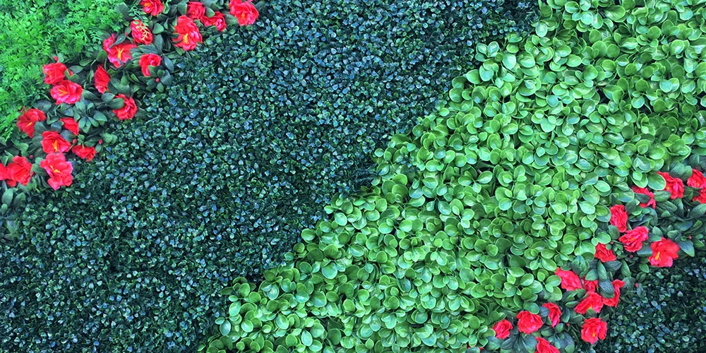 Completed living wall with multiple textures