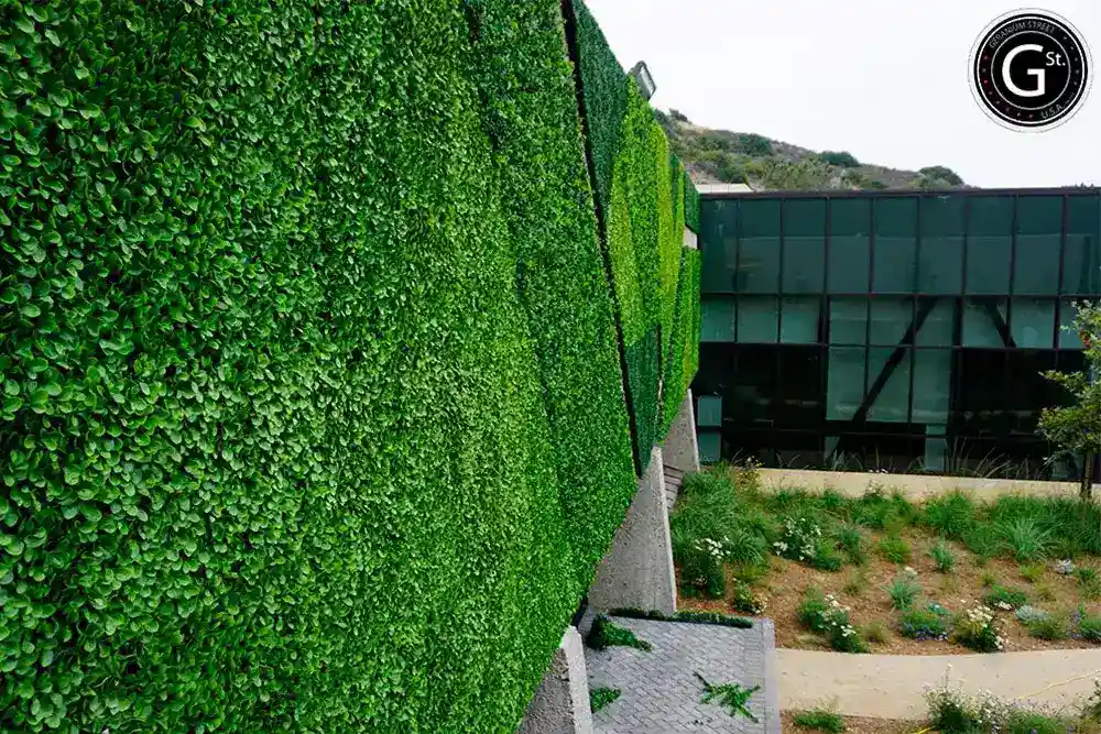 Large custom living wall at Sorrento Valley pharmaceutical company