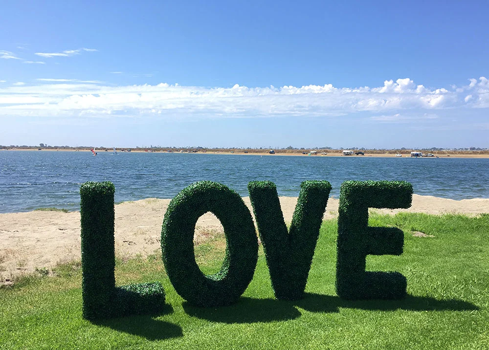 Boxwood Hedge Letters