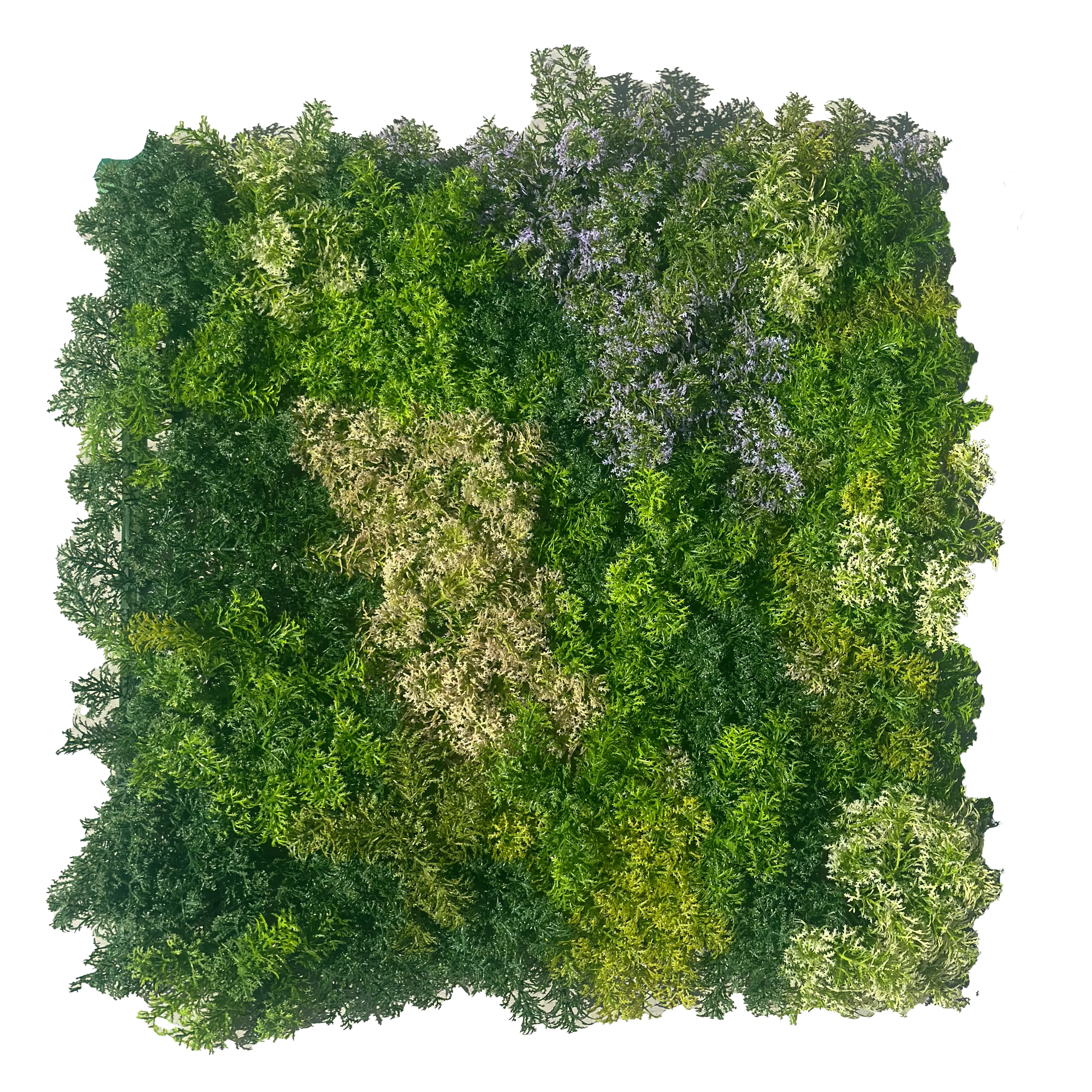 Multi-colored Moss Mat