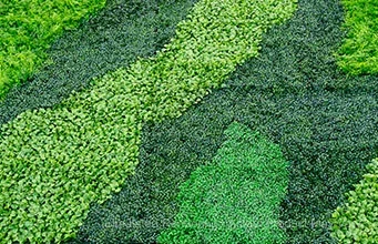 Say Goodbye to Ugly Walls with Geranium Street Artificial Living Walls