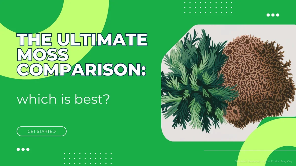 The ultimate Moss comparison: which is best?